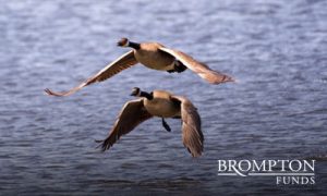 Canadian Banks – Stability in Good Times, Bad Times